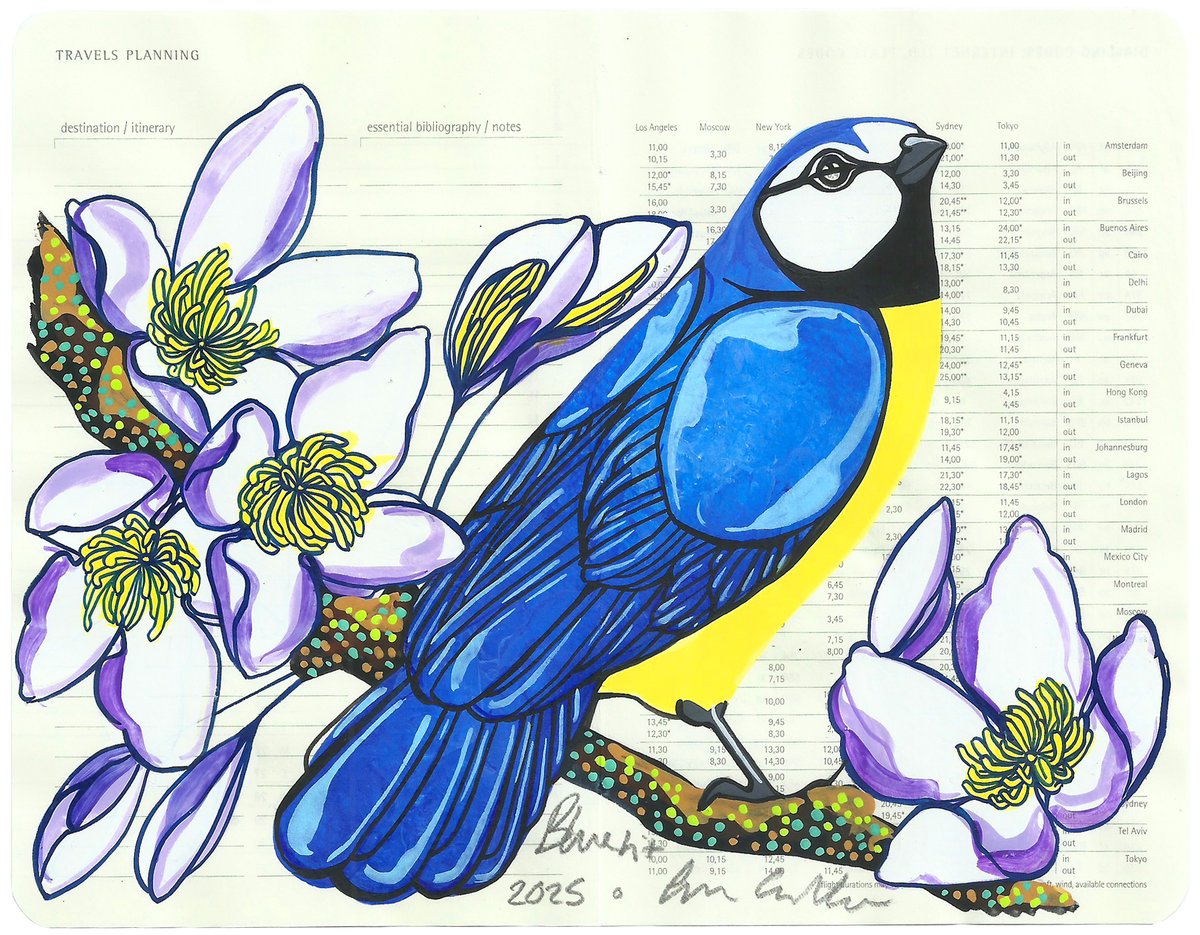 Image of Blue Tit