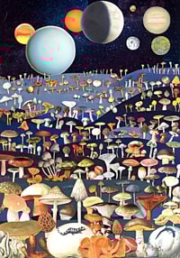 Mushroom Planet