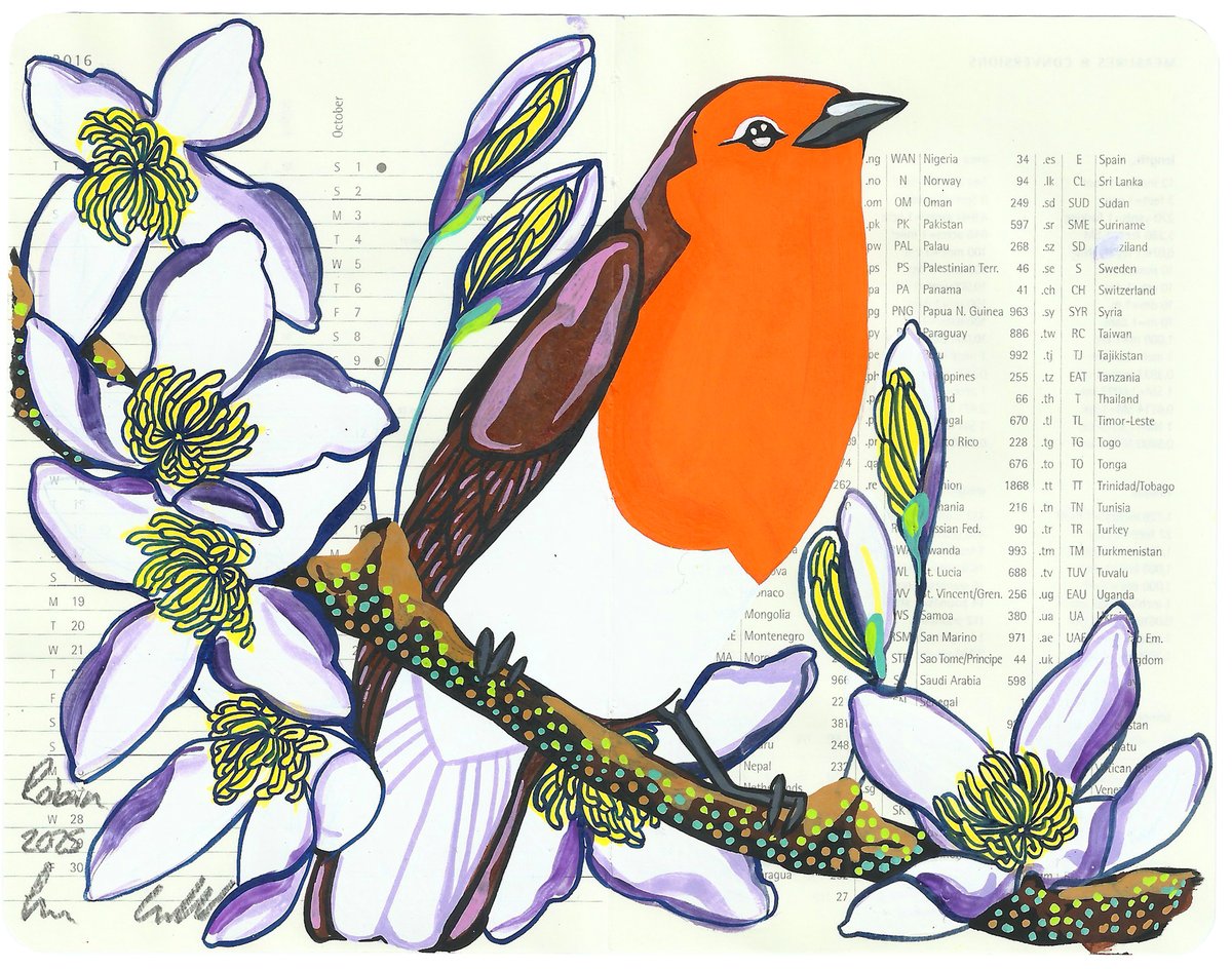Image of Robin