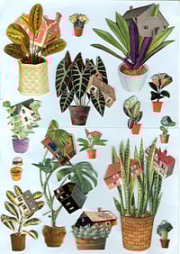 Houseplants