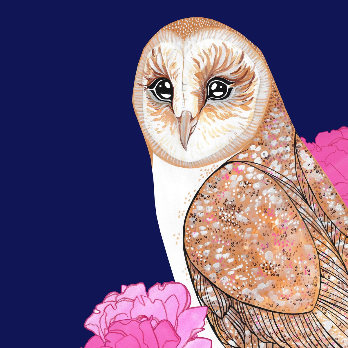 Image of Barn Owl and Roses