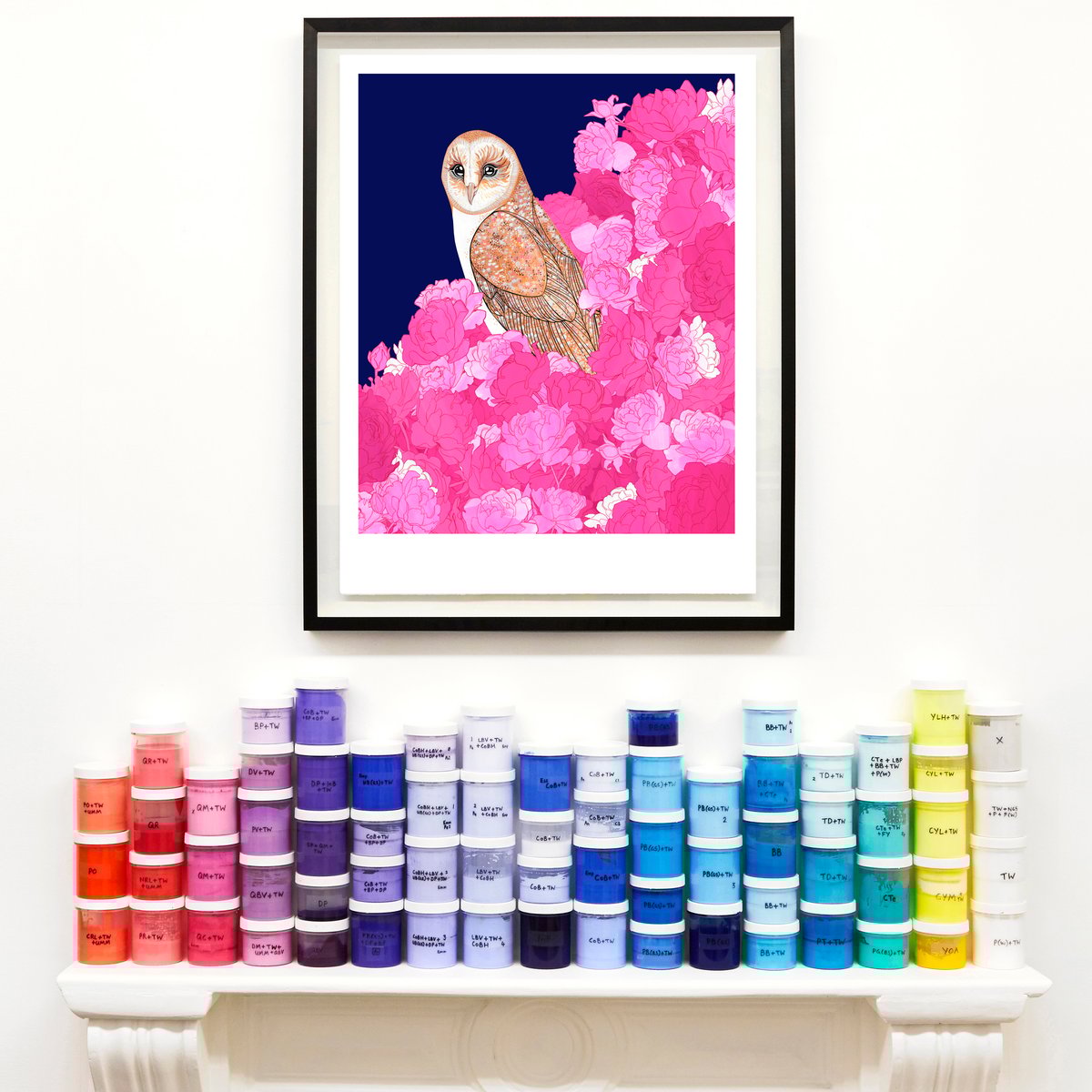 Image of Barn Owl and Roses