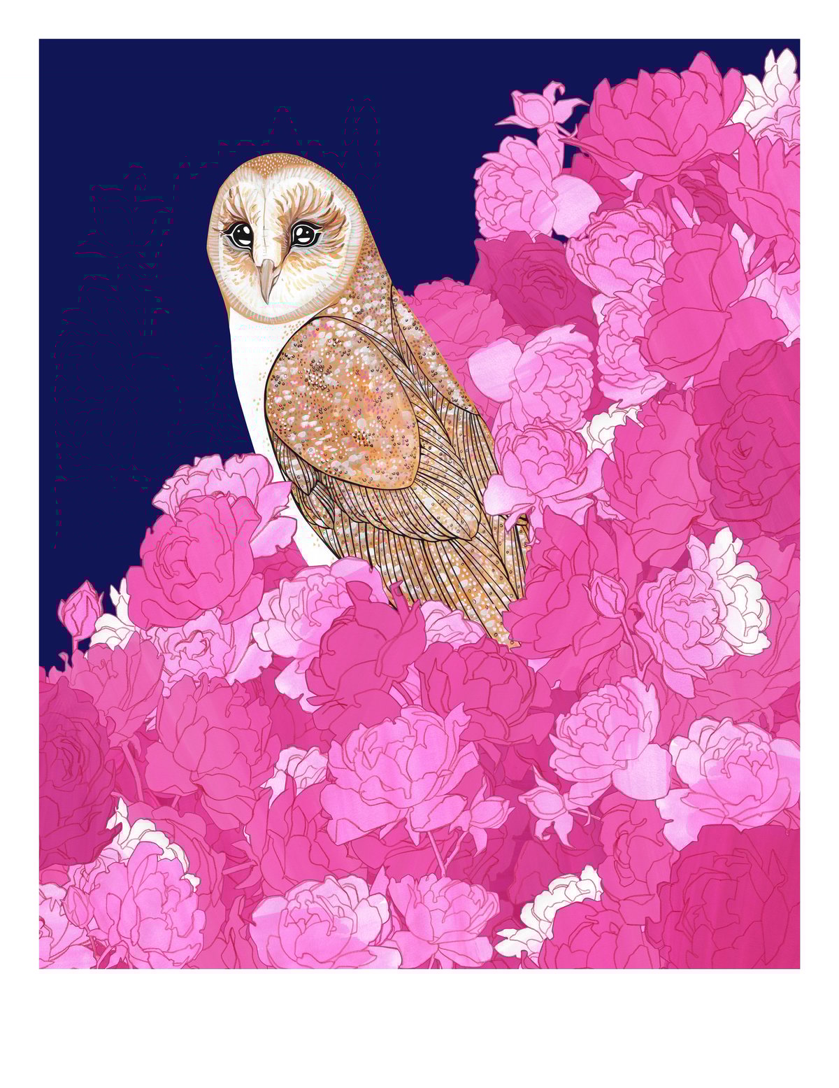 Image of Barn Owl and Roses