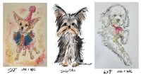 Custom Pet Illustration