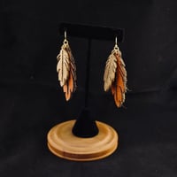 Image 5 of Red & Tan Feather & Friend