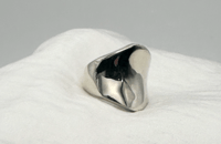 Image 3 of The Shield