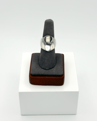 Image 1 of The Shield