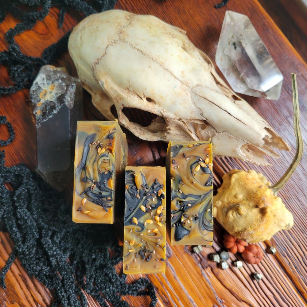 Image of Pumpkin Puree & Cardamom Cold Process Soap