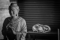 Image 1 of Buddha and the Street Dog
