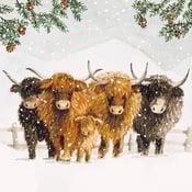 Image of Highland Cow Herd