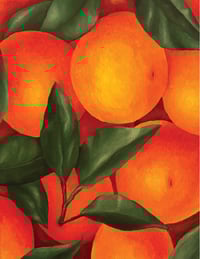 Oranges Print