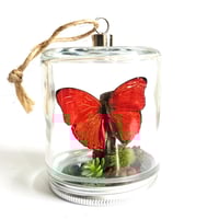 Image 1 of Blood Red Glider Butterfly Woodland Hanging Mason Jar