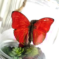 Image 3 of Blood Red Glider Butterfly Woodland Hanging Mason Jar