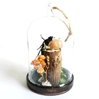 Image 2 of Ugandan Flower Beetle Mini Woodland Hanging Dome
