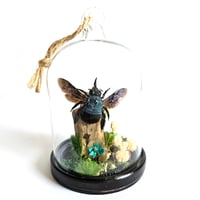 Image 1 of  Blue Carpenter Bee Mini Woodland Hanging Dome