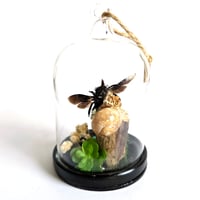 Image 2 of  Blue Carpenter Bee Mini Woodland Hanging Dome