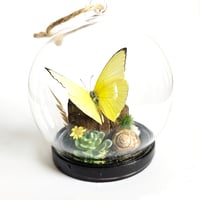 Image 1 of Lemon Emigrant Butterfly Mini Woodland Hanging Globe