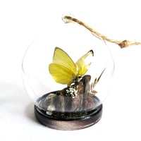 Image 2 of Lemon Emigrant Butterfly Mini Woodland Hanging Globe