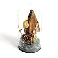 Image 2 of Death's-Head Hawkmoth Mini Woodland Cork Dome