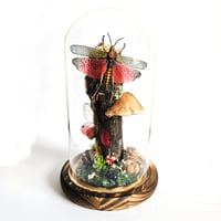 Image 1 of Milkweed Locust & Blushing Phantom Butterfly Woodland Dome