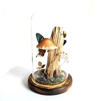 Image 2 of Madagascan Sunset Moth Woodland Dome II