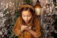 November 7, 2025 - Holiday Mini Sessions
