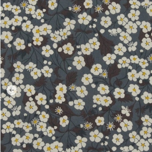 Image of MITSI ( F )