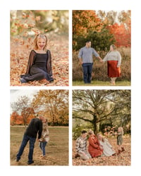 Image 2 of FALL MINIS