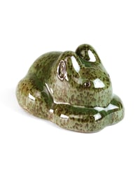 Image 1 of Mantis Baby