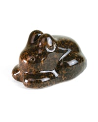 Image 2 of Tortoise Baby