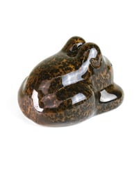 Image 4 of Tortoise Baby