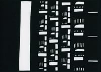 Palm Patterns 08 Individual Piece