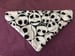 Image of Skeleton Pet Collar Bandana