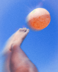 Image 3 of RPT-034: THE SOCCER BALL