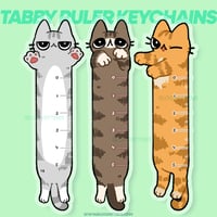 tabby ruler keychain