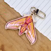 Image 1 of Elephant Hawkmoth Keychain [two-sided]