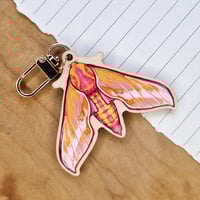 Image 2 of Elephant Hawkmoth Keychain [two-sided]