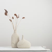 Image 4 of momo