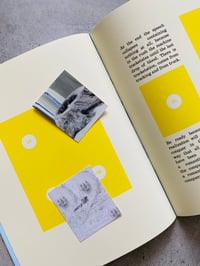 Image 3 of a fruit is becoming ill in sugar