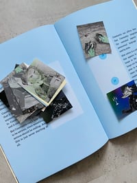 Image 4 of a fruit is becoming ill in sugar