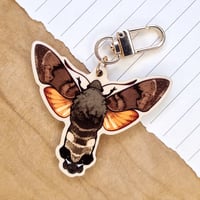 Image 2 of Hummingbird Hawkmoth Keychain [two-sided]