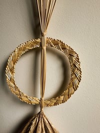 Image 3 of Sun Favour (rye)