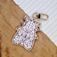 Image 1 of Cerura Erminea Moth Keychain [one-sided]