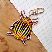 Colorado Potato Beetle Keychain [two-sided]