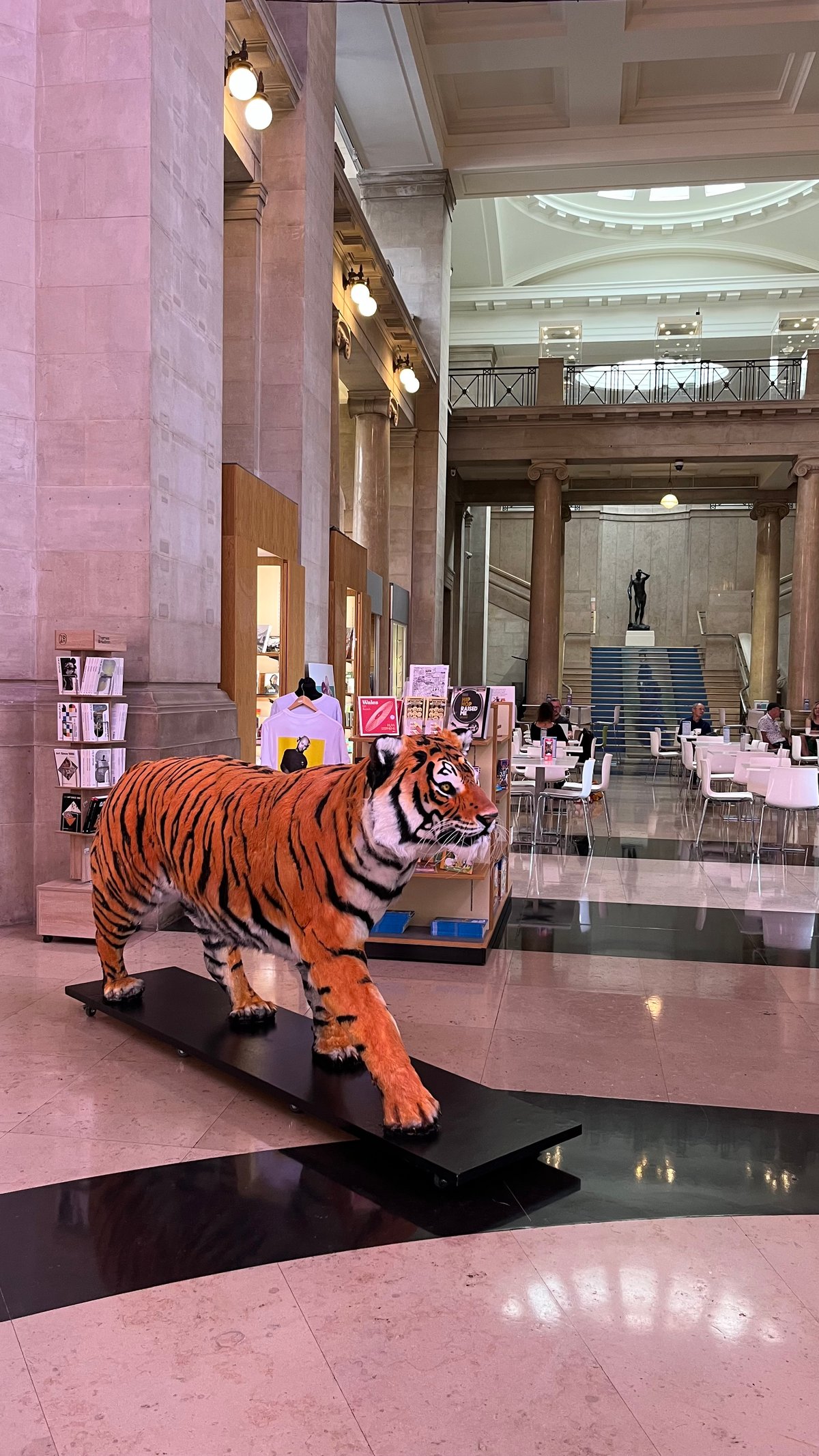 Image of Full Tiger