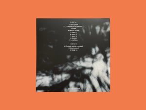 Image of Jaroslav Kořán - Zahrada (2025, LP, Infinite Expanse)