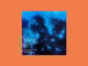 Image of Jaroslav Kořán - Zahrada (2025, LP, Infinite Expanse)