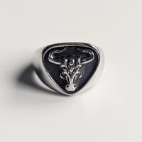 Image 1 of The Bull Ring