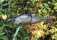Image 5 of SPEEDBAITS Custom Airbrushed Glide Bait 2422