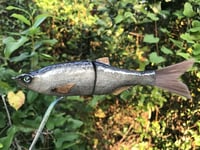 Image 6 of SPEEDBAITS Custom Airbrushed Glide Bait 2422